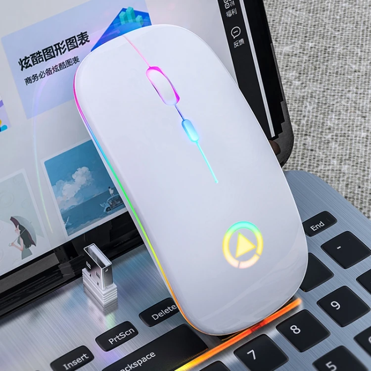 1600DPI 3-modes Adjustable RGB Light Rechargeable Wireless Silent Mouse​ VKB7661WN